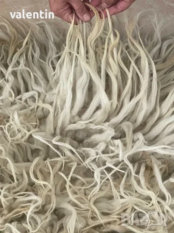 Рядкост: 6 ръчнотъкани китеници от 100% мериносна вълна, снимка 3 - Килими - 51394292