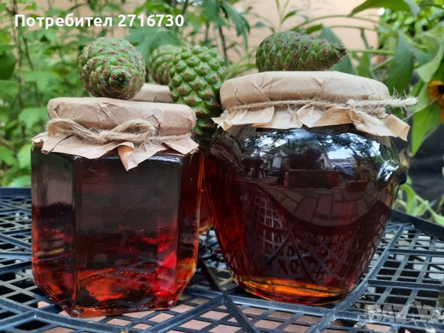 Боров мед от борови връхчета и шишарки, снимка 3 - Домашни продукти - 39312356