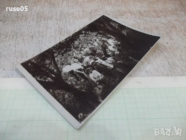 Снимка стара на младежи в градината - 1, снимка 3 - Колекции - 47994591