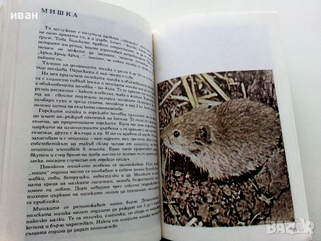 Албум за растения и животни - Н.Боев,С.Петров,П.Кръстев - 1976г., снимка 5 - Енциклопедии, справочници - 53185115