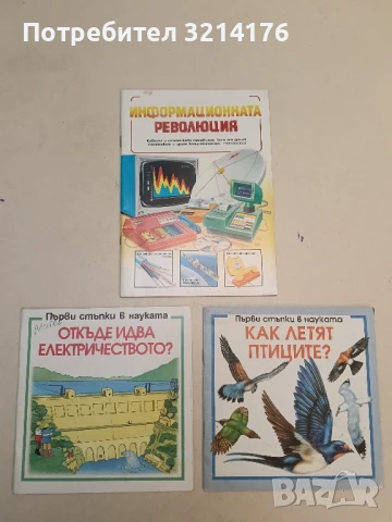 Информационната революция - Лин Майринг, Иън Греъм