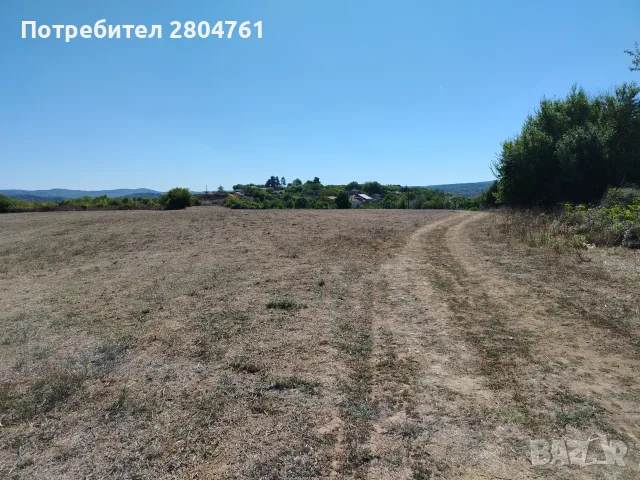 Земеделски имот в Индже войвода Област Бургас, снимка 7 - Земеделска земя - 50439651