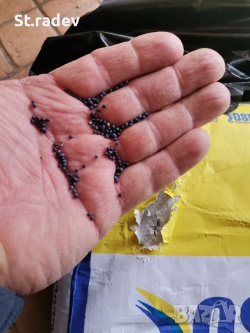 Люцерна семе.семена люцерна. , снимка 4 - За селскостопански - 41060530