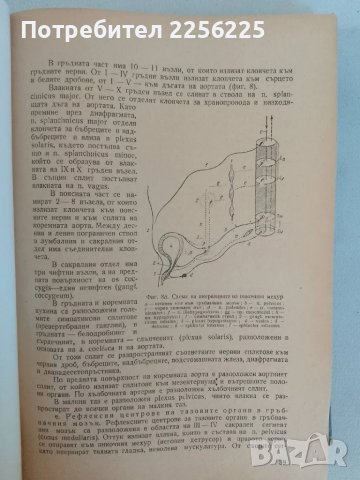 "Нервни болести", снимка 2 - Специализирана литература - 47481969