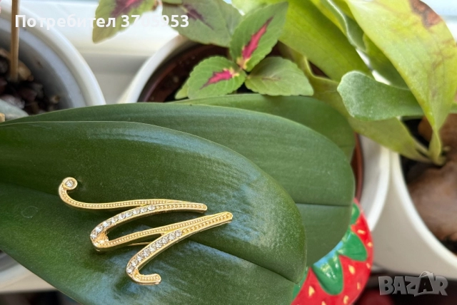 Нови брошки от 4лв., снимка 4 - Други - 52786793