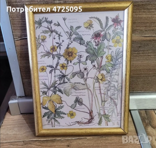 Винтидж принт