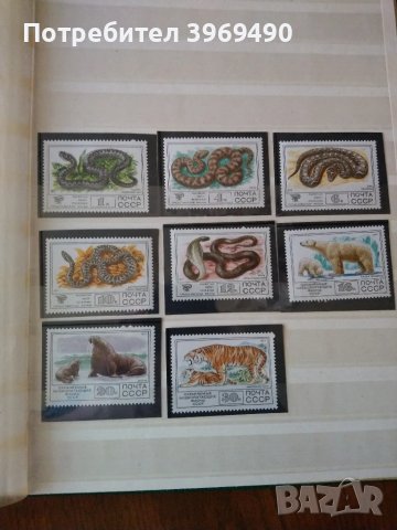 Серия от 8 пощенски марки от СССР 1977 г., снимка 1