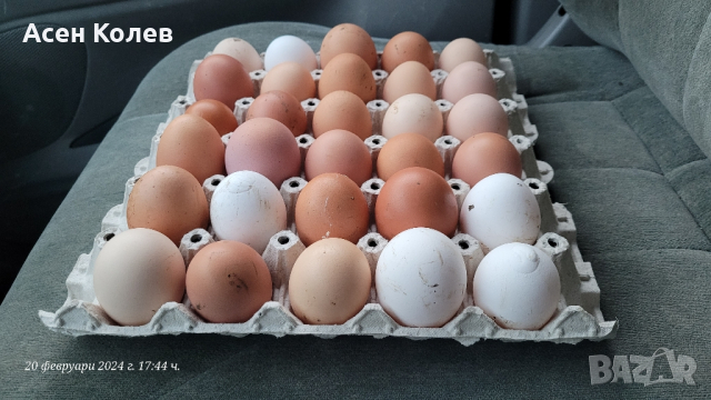 Домашни яйца от свободни кокошки , снимка 1 - Домашни продукти - 44702300