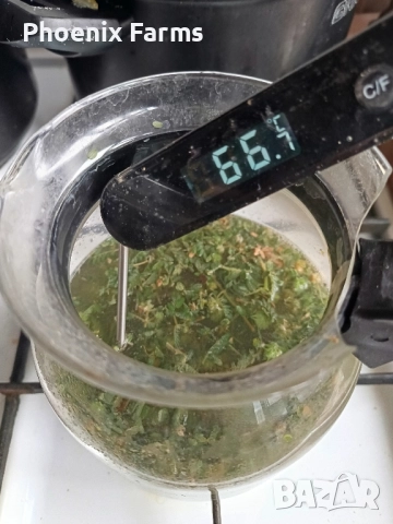 Шипки, Билков пчелен Мед, Боров прашец, коприва, пелин, снимка 8 - Домашни продукти - 50332840