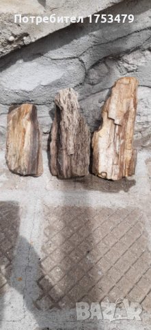 Вкаменено дърво,камено дърво, снимка 2 - Декорация за дома - 40392454