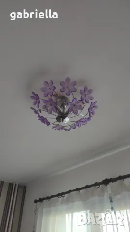 Красив Полилей , снимка 2 - Полилеи - 50248973