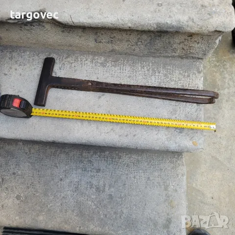 тенекеджийска клеща голяма