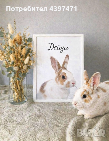 Портрети на домашни любимци по поръчка , снимка 2 - Други стоки за животни - 53014699