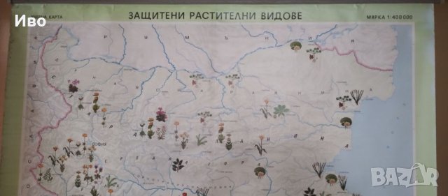 Голяма стенна карта на защитени растения