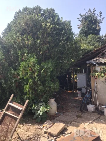 Продава се имот в село Каменец, област Плевен, снимка 8 - Къщи - 55876000