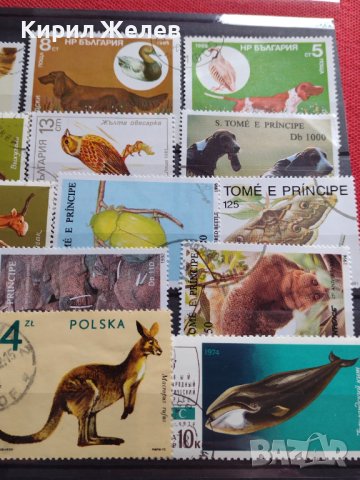 Пощенски марки смесени от цял свят ЖИВОТНИ за КОЛЕКЦИЯ 22615, снимка 3 - Филателия - 40344342