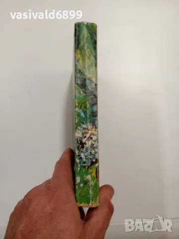 Христо Стойков - Гост пристигна по роса , снимка 2 - Детски книжки - 48110880