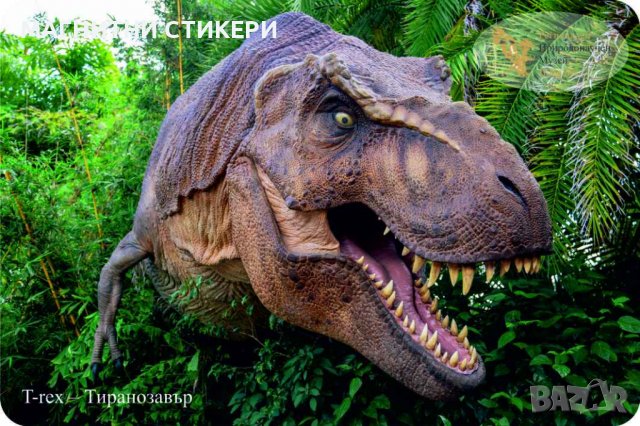 Магнитни стикери по индивидуални поръчки минимална бройка 1000 , снимка 10 - Празнични оферти - 39718681