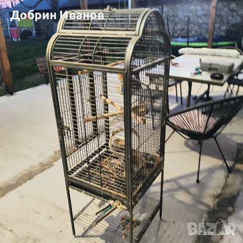 Клетка за големи папагали , снимка 2 - Папагали - 53607544