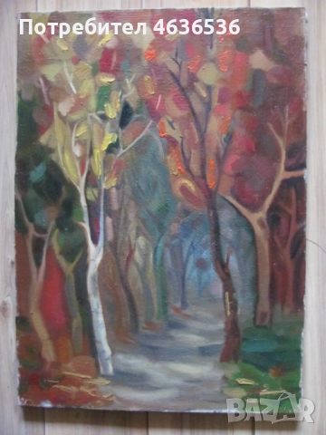 Красива Картина масло, платно ,художник Силвия Радева, снимка 7 - Картини - 52573752