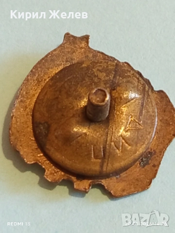 Соц значка на Димитровския съюз на народната младеж за КОЛЕКЦИЯ 52791, снимка 5 - Колекции - 53163751