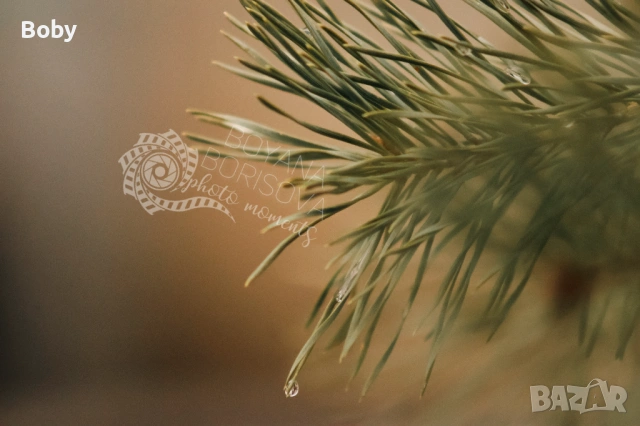 Принт за стена "Капка"