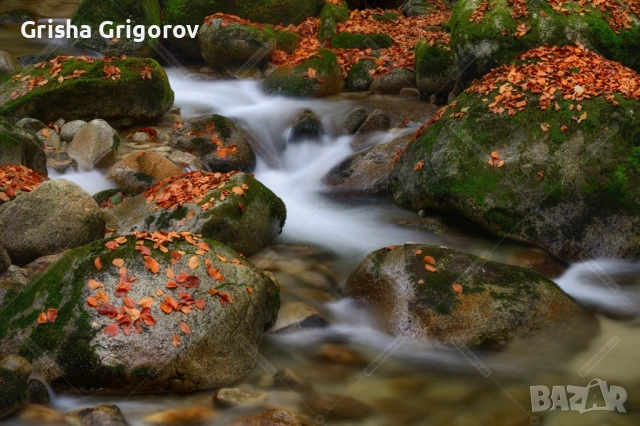 Фотокартина за декорация