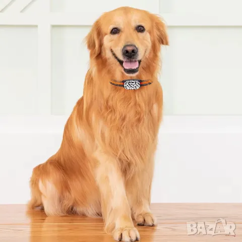 4G  GPS тракер, IP67, за  животни: кучета, котки, опция: предплатена СИМ карта, снимка 1