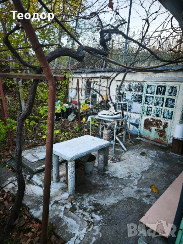 Продавам лозе с постройка, снимка 10 - Къщи - 52423608