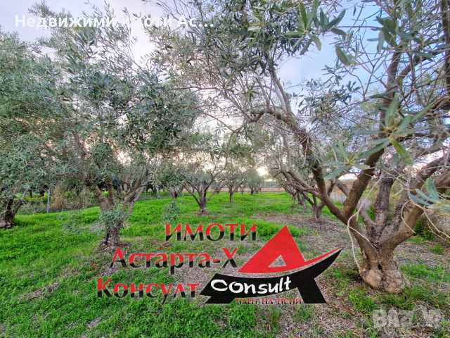 Астарта-Х Консулт продава парцел в Агиос Мамас Халкидики Гърция , снимка 1 - Земеделска земя - 44735140