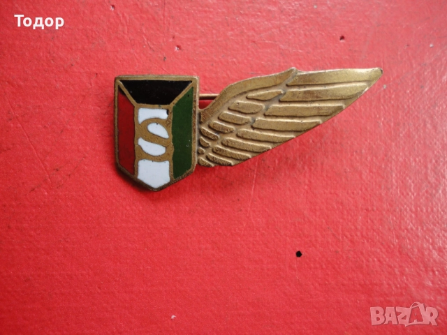 Армейски бронзов знак с емайл , снимка 3 - Колекции - 52615815