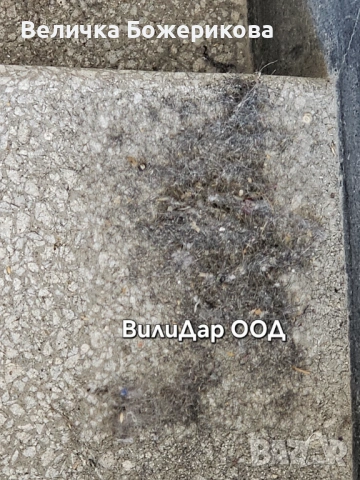 Почистване на входове , снимка 13 - Почистване на входове - 53663804