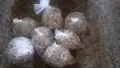 Сушена манатарка , снимка 1