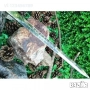 Кинжал - репродукция от втората световна война,с елементи и символи свързани с 3-ти Райх - хитлерист, снимка 4