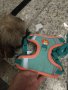 Регулируем,светлоотразителен нагръдник за куче - Високо качество, снимка 7