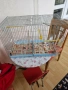Клетка за птици, снимка 2