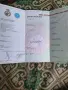 Продавам белгийска овчарка малиноа, снимка 1