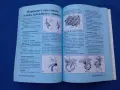 Стилист Капанов, снимка 5