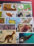 Пощенски марки смесени от цял свят ЖИВОТНИ за КОЛЕКЦИЯ 22615, снимка 3