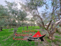 Астарта-Х Консулт продава парцел в Агиос Мамас Халкидики Гърция , снимка 1 - Земеделска земя - 44735140