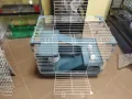 голяма клетка,кафез(70×44×59h) за чинчила,порче(фретка), снимка 1