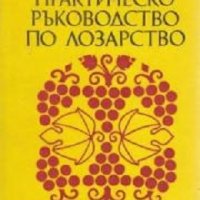 Практическо ръководство по лозарство, снимка 1 - Специализирана литература - 35835541