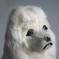 Сувенир Естествена козина Куче , снимка 4 - Колекции - 41619485