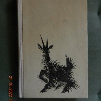 Йордан Радичков - Скални рисунки, снимка 1 - Българска литература - 42664991