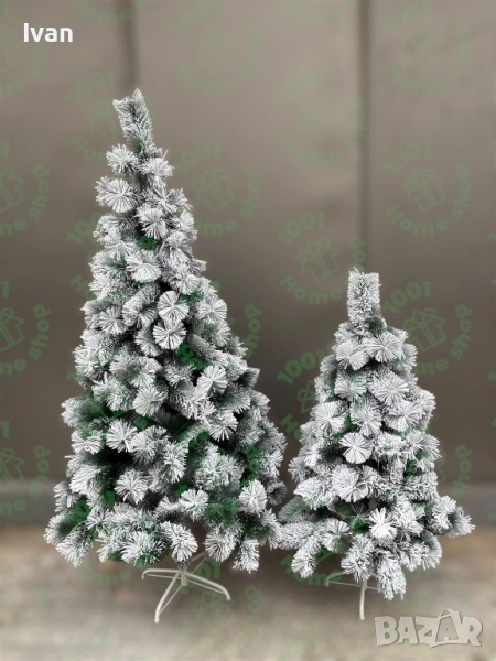 Промо Коледна елха Занежен Бор , снимка 1