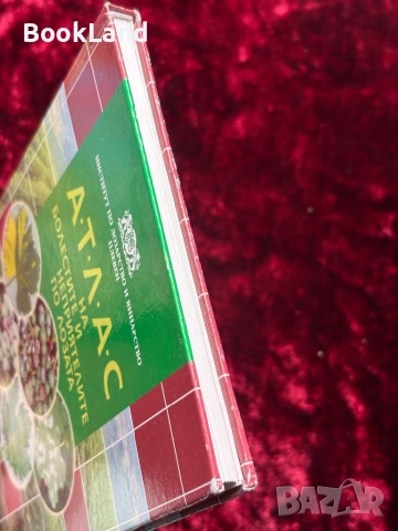 Атлас на болестите и неприятелите по лозата, снимка 4 - Други - 53863258