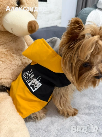 Якета за малки породи кучета