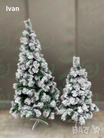 Промо Коледна елха Занежен Бор 