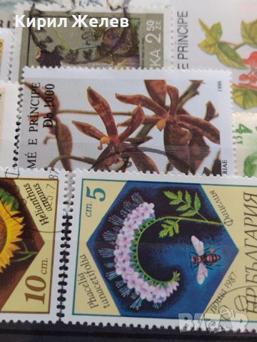 ПОЩЕНСКИ МАРКИ смесени ЖИВОТНИ,ЦВЕТЯ,ГЪБИ от цял свят за КОЛЕКЦИЯ 22600, снимка 12 - Филателия - 40316204