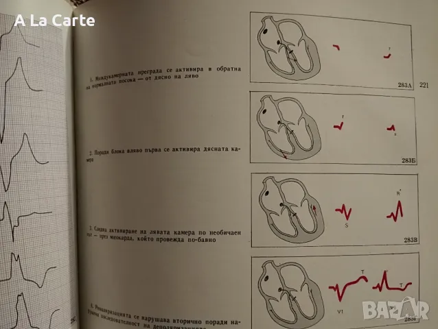 Ръководство по Електрокардиография, снимка 5 - Специализирана литература - 47990467